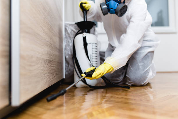 Best Local Pest Control Services  in Park Layne, OH