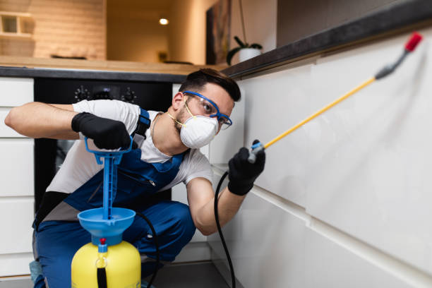 Best Best Pest Control Companies  in Park Layne, OH