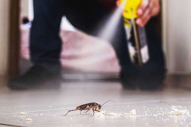 Best Bed Bug Extermination  in Park Layne, OH