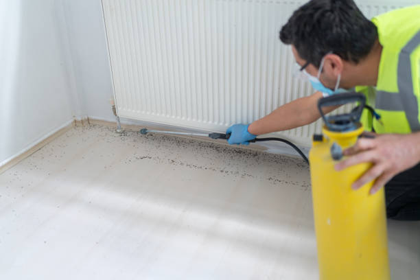Best Pest Prevention Services  in Park Layne, OH